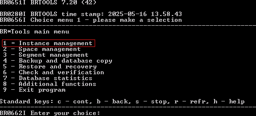 Datei:SAP-BRTools.png