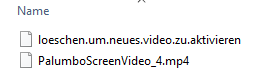 Datei:PalumboEingangsvideo.png
