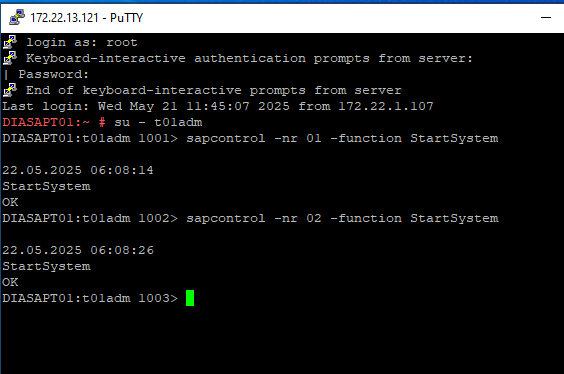 Datei:SAP-DiakoniePuTTYStart.png