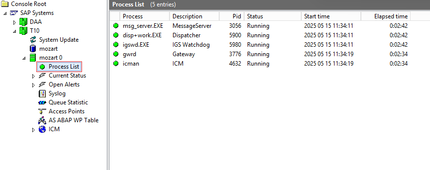 Datei:SAP-InstanzProzess.png